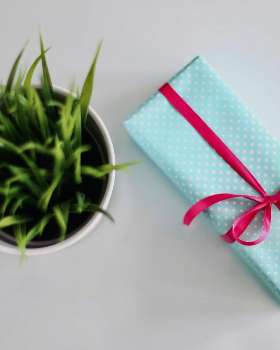 A white gift box beside a green leafed plant